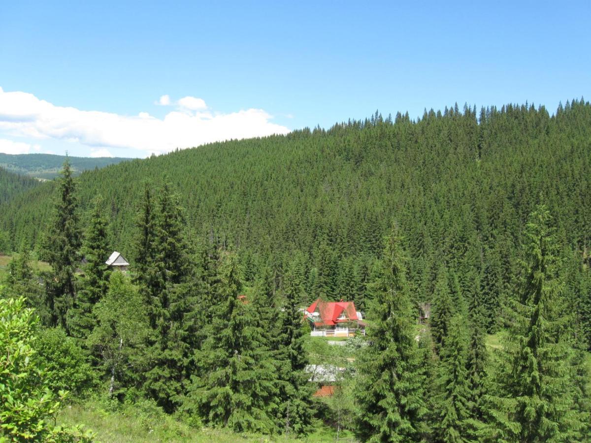 Podina Guest House Gyálukaluluj Kültér fotó
