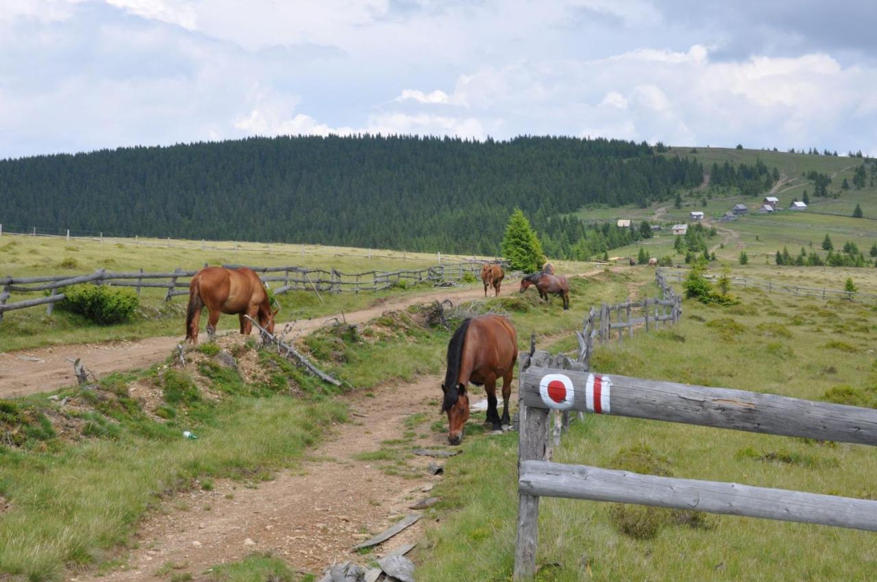 Podina Guest House Gyálukaluluj Kültér fotó